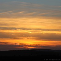 /album/galerie-de-photos-galerie-photos/frida-dumont-img-4909-jpg/